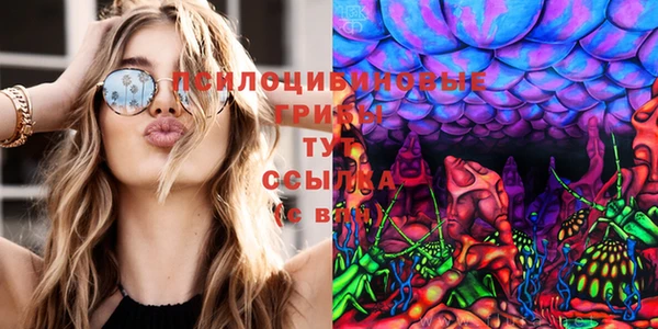 синтетический гашиш Каменногорск