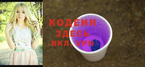 тгк Каменка