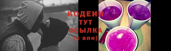 твердый Инта
