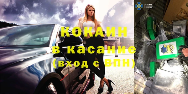 тгк Каменка
