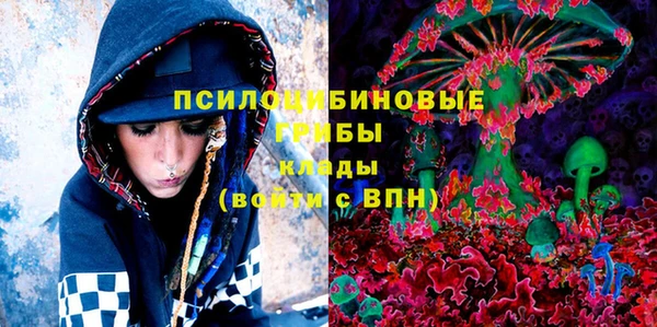 синтетический гашиш Каменногорск