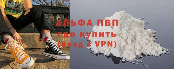 тгк Каменка