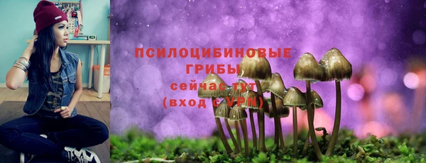 тгк Каменка