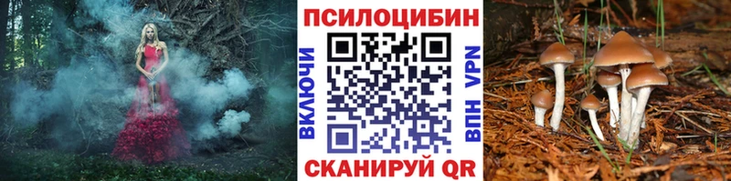 Галлюциногенные грибы Cubensis  Купить где  Данков 